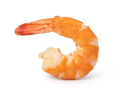 Shrimp Stock Photos