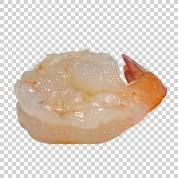 Shrimp Stock Photos
