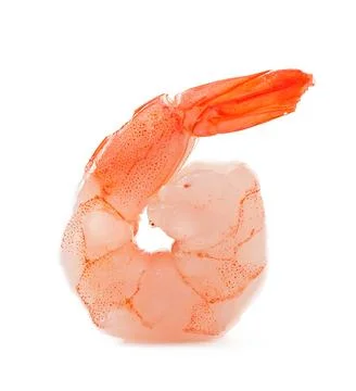 Shrimp Stock Photos
