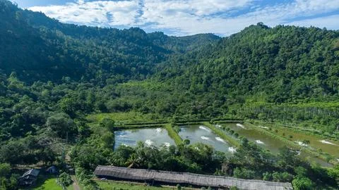 Shrimp pond Stock Photos