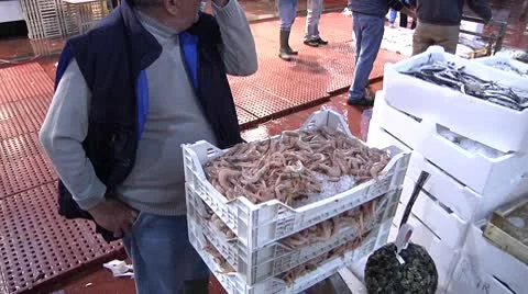 Shrimp, prawn, gamberetti Video stock 8963271