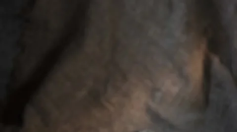 Shrimp salad Stock Footage 49314071