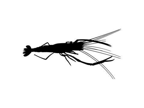 Shrimp silhouette isolated 스톡 일러스트