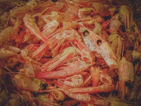Shrimp stack with cleaned shrimp residue. Foto stock