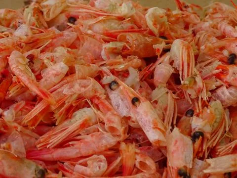 Shrimp stack with cleaned shrimp residue. Foto stock