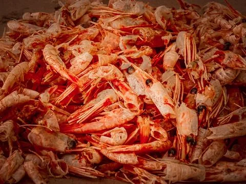 Shrimp stack with cleaned shrimp residue. Foto stock