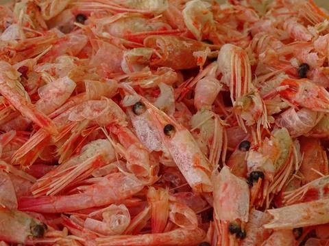 Shrimp stack with cleaned shrimp residue. Foto stock