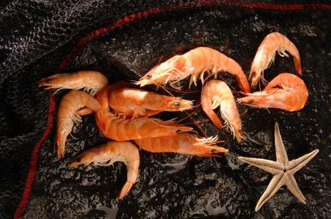 Shrimp on the table Foto stock