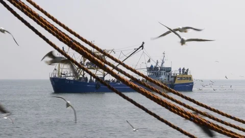 Commercial shrimp fishing boat trawling , Stock Video