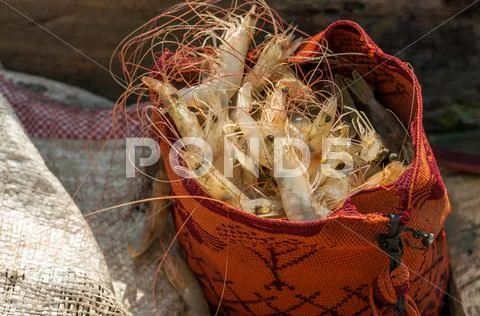 Shrimp in a Typical Bag Stock Photos
