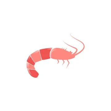Shrimp vector design template illustration Stock Illustration