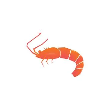 Shrimp vector design template illustration Illustrazione stock