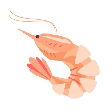 Shrimp vector illustration element isolated on white Stock Illustration