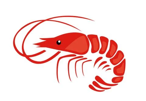 Shrimp vector illustration Stock Illustration