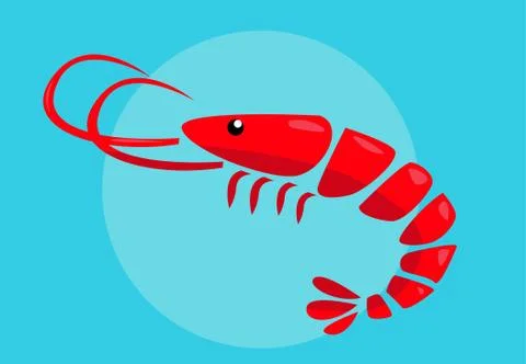 Shrimp vector illustration Stock Illustration