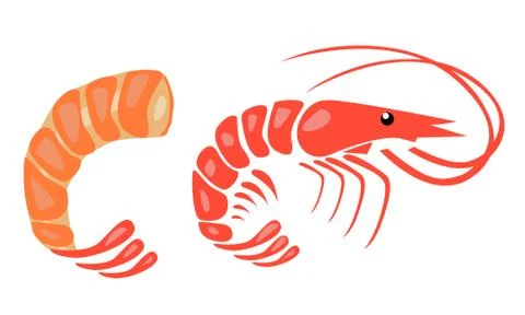 Shrimp vector illustration Stock Illustration