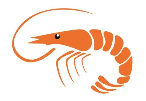 Shrimp vector illustration on white Illustrazione stock