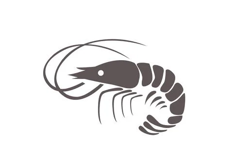 Shrimp vector illustration on white Stock Illustration