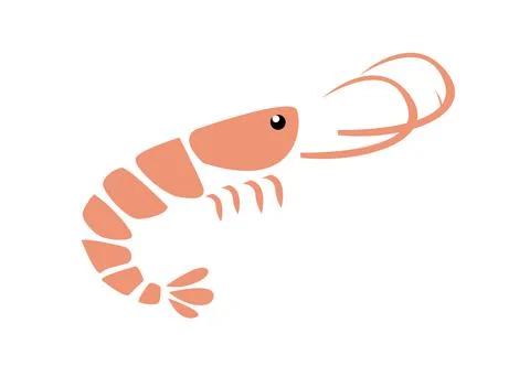 Shrimp vector illustration on white Stock Illustration