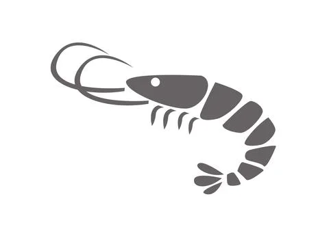 Shrimp vector illustration on white Illustrazione stock