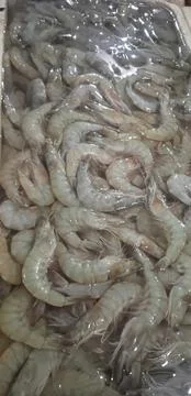 Shrimp, west java, Indonesia Stock Photos