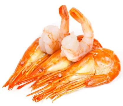 Shrimp on white background Stock Photos