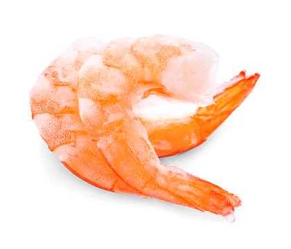 Shrimp on white background Stock Photos