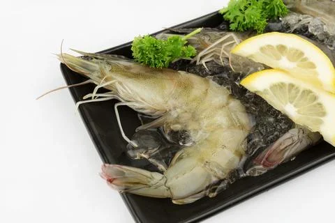Shrimp on white background Stock Photos