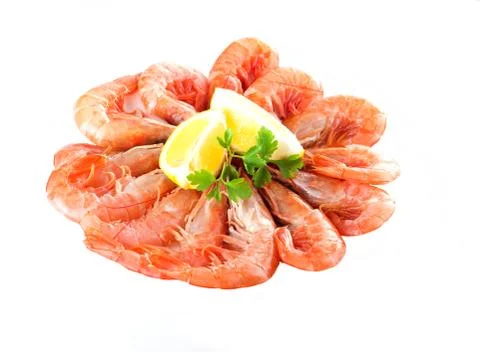 Shrimp in a white isolated background Stock Photos