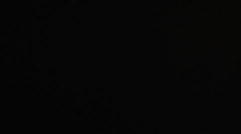 Shrimp01 스톡 동영상 8035330