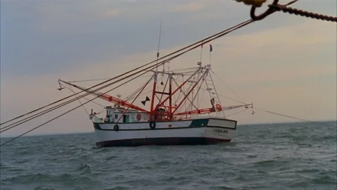 Shrimping Stock Footage 85956889