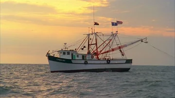 Shrimping Stock Footage 85956991