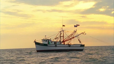 Shrimping Stock Footage 85956996