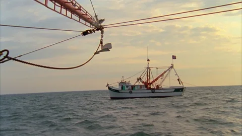 Shrimping Stock Footage 85957088