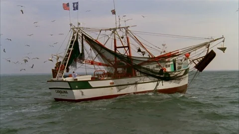 Shrimping Stock Footage 85957093