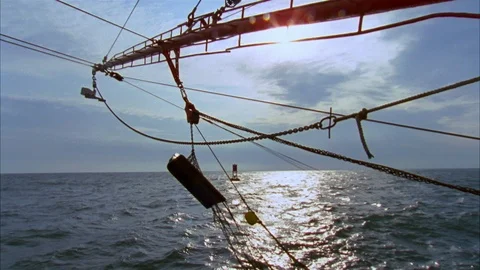 Shrimping Stock Footage 85958118