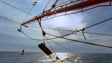 Shrimping Stock Footage 85958136