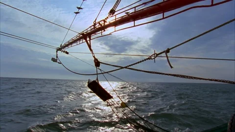 Shrimping Stock Footage 85958214