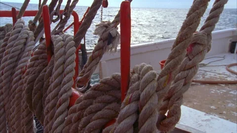 Shrimping Stock Footage 85998655