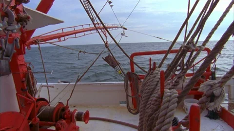 Shrimping Stock Footage 85998708