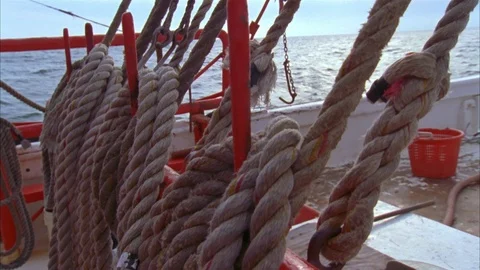 Shrimping Stock Footage 85998754