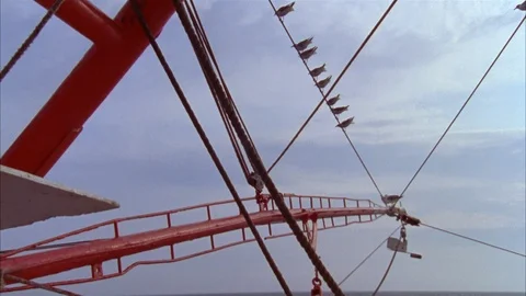 Shrimping Stock Footage 85998801