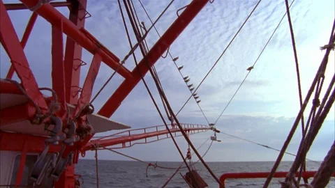 Shrimping Stock Footage 85998925