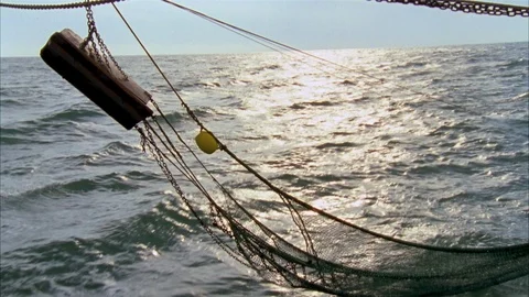 Shrimping Stock Footage 85998983