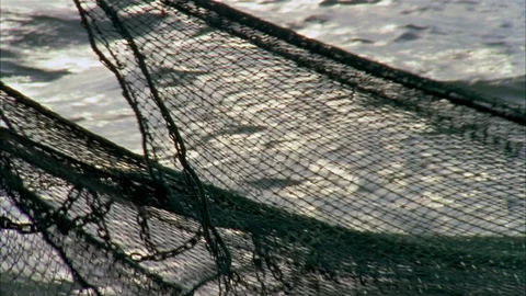 Shrimping Stock Footage 85999020