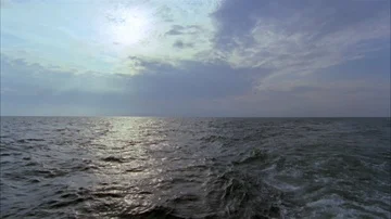 Shrimping Stock Footage 85999070