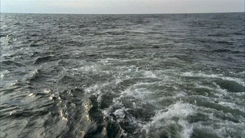 Shrimping Stock Footage 85999104