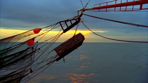 Shrimping Stock Footage 85999168