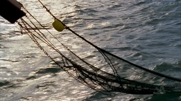 Shrimping Stock Footage 85999180