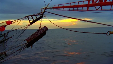 Shrimping Stock Footage 85999282